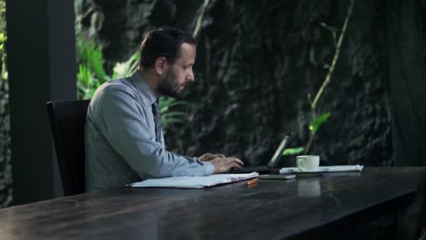 Homme d'affaires travaillant avec des documents et un ordinateur portable — Video