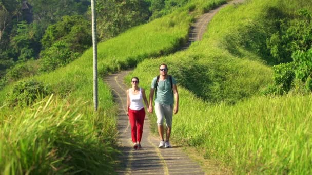 Paar wandelen door terrassen in Bali — Stockvideo