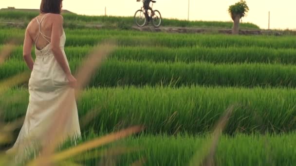 Mujer caminando a través del campo de arroz — Vídeos de Stock