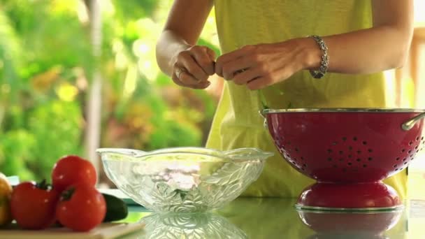 Kobieta ręce zbieranie liści szpinaku do miski — Wideo stockowe
