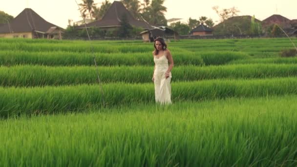 Mujer caminando a través del campo de arroz — Vídeos de Stock