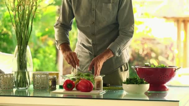 Man mixing salad in kitchen — Stock Video