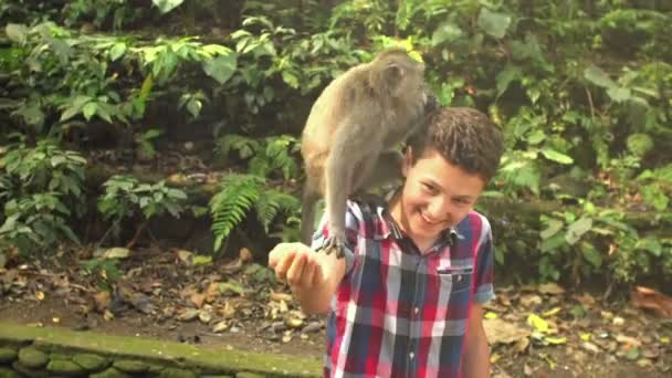 少年喂养猴子在森林里 — 图库视频影像