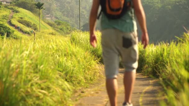 Homme marche annonce randonnée à travers les terrasses — Video