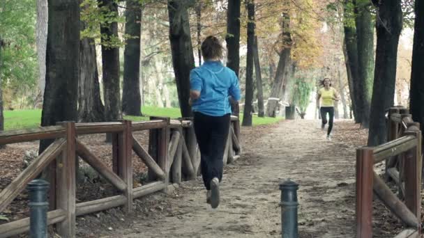 年轻女子在公园慢跑和打高五 — 图库视频影像