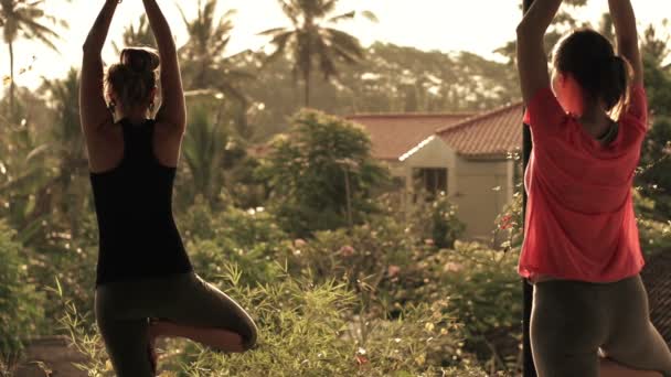 Två Unga Flickvänner Utöva Yoga Terrassen Långsam Rörelse Sköt 240Fps — Stockvideo