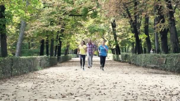 Young People Jogging Park Autumn — Stock Video