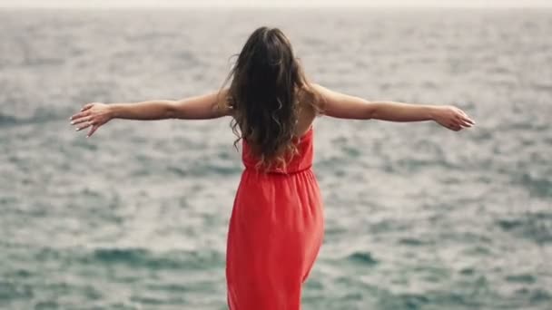 Femme s'amusant debout au bord de la mer — Video