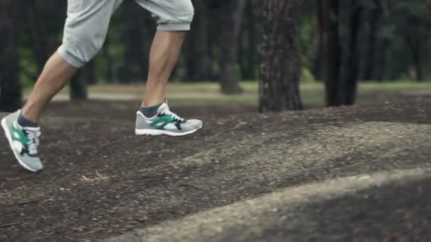 Joggers Πόδια Που Τρέχουν Στο Δάσος — Αρχείο Βίντεο