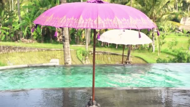 Umbrella near swimming pool — Stock Video