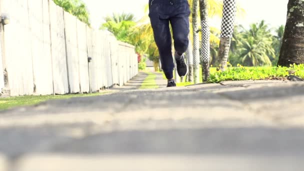 Mannelijke benen joggen op land pad — Stockvideo