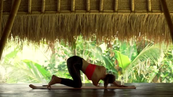 Femme faisant de l'exercice, s'étirant sur le tapis dans le gymnase — Video