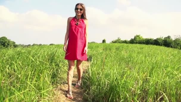 Женщина ходит по траве подано — стоковое видео