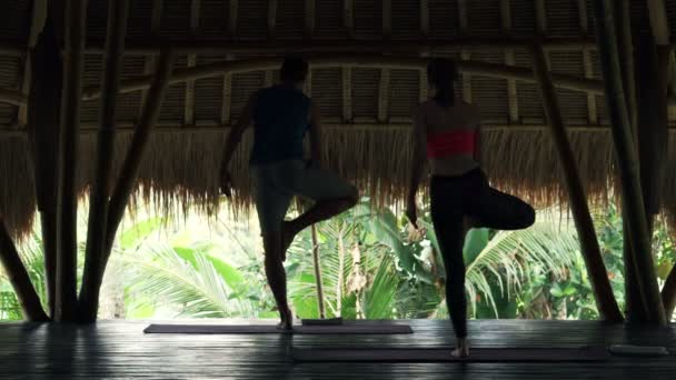 Пара осуществляет йогу, делая баланс позы — стоковое видео