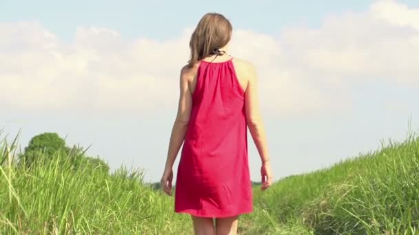 Woman walking through grass filed — Stock Video