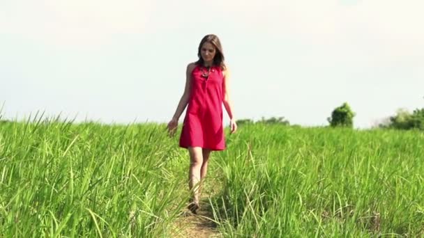 Woman walking through grass filed — Stock Video