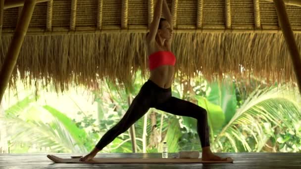 Woman doing warior yoga pose, exercising on mat — Stock Video