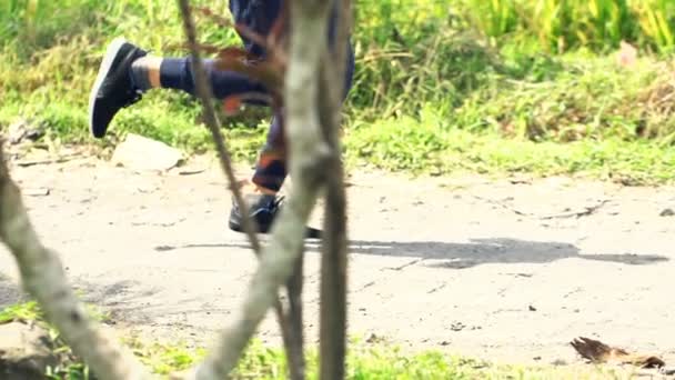 Άνθρωπος τζόκινγκ στο μονοπάτι στο πάρκο — Αρχείο Βίντεο