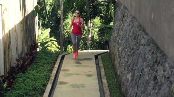 Giovane, bella donna che fa jogging nel parco — Video Stock