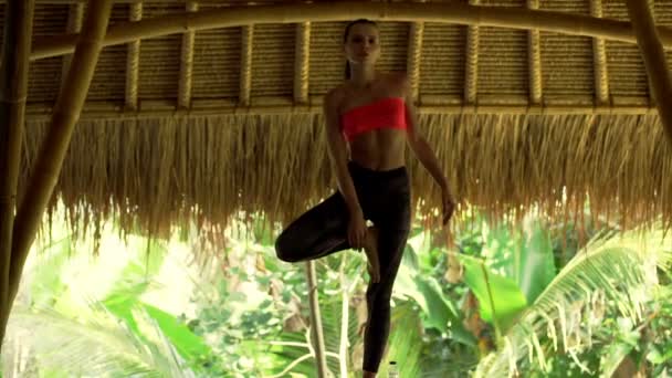 Женщина делает представление yoga, тренируя на циновке — стоковое видео