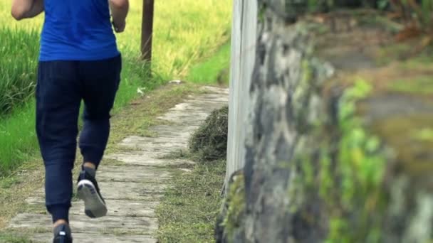 A fiatalember jogging útvonal az országban — Stock videók