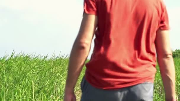 Человек ходит по траве — стоковое видео
