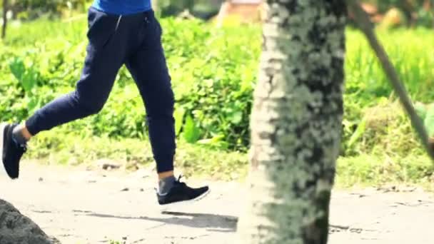 Homme jogging sur le chemin dans le parc — Video