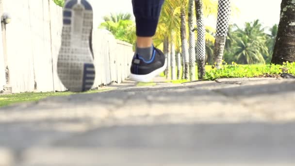 Uomo che fa jogging sul sentiero di campagna — Video Stock