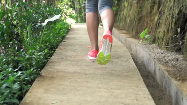 Jeune femme jogging dans le parc — Video