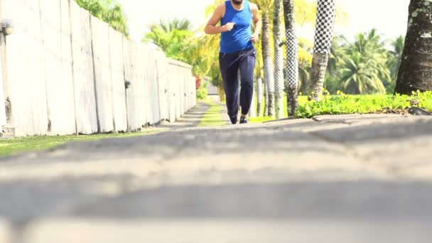 Homme jogging sur le chemin du pays — Video