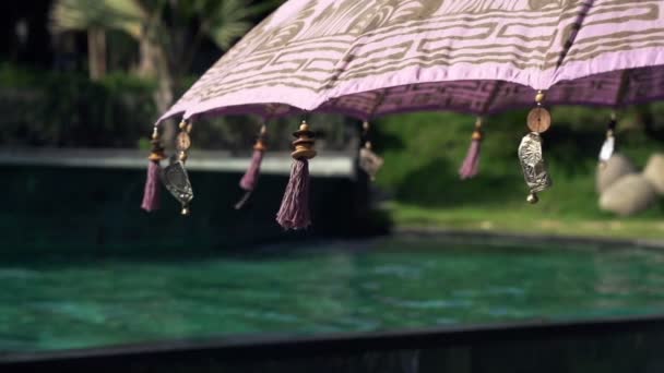 Ornament with umbrella near swimming pool — Stock Video