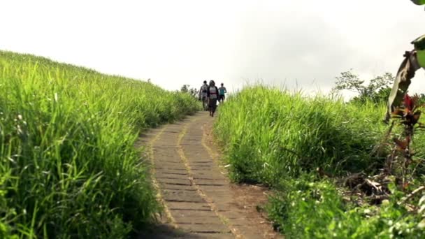 People walking through grass filed — Stock Video