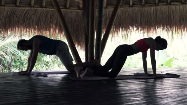 Paar macht Plankübung und japanisches Sitzen — Stockvideo