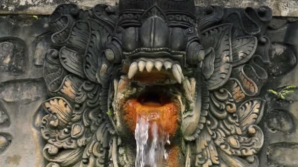 Agua que fluye de la escultura del dragón — Vídeo de stock