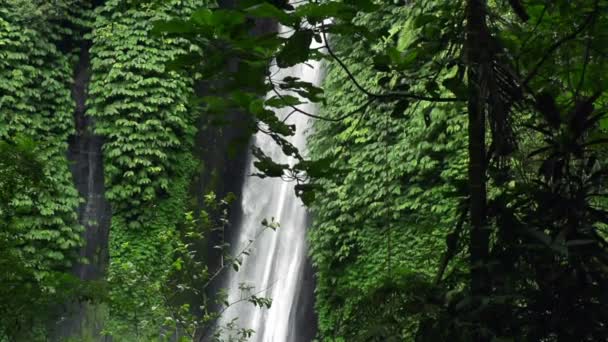 Waterfall in tropical forest in Bali — Stock Video