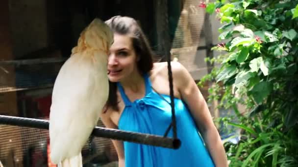 Mujer mirando loro en el jardín — Vídeos de Stock