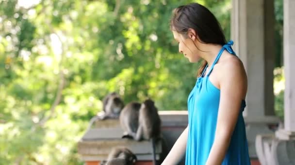 Mulher na floresta de macacos em Ubud — Vídeo de Stock