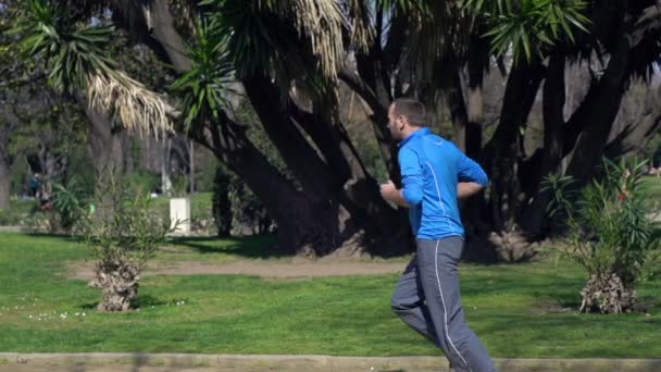 Mladý muž jogging v parku — Stock video