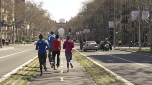 Joggare körs i staden — Stockvideo