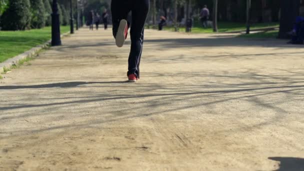 Joggers courir dans le parc — Video