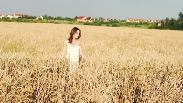 Mujer caminando a través del campo de trigo — Vídeos de Stock