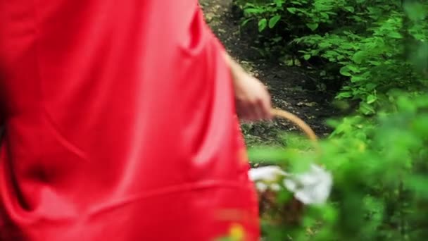 Red riding hood med korg promenader i skogen — Stockvideo