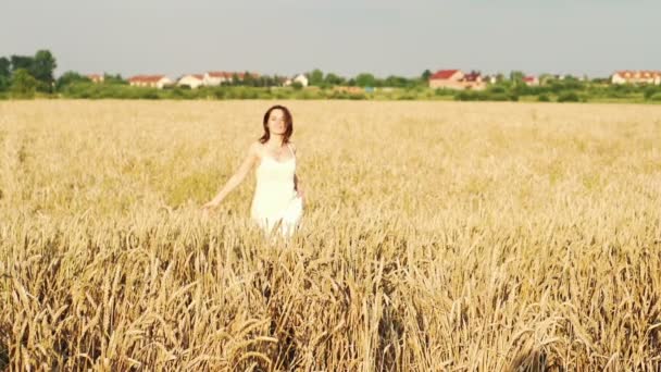 Kvinnan kör igenom vete fält — Stockvideo