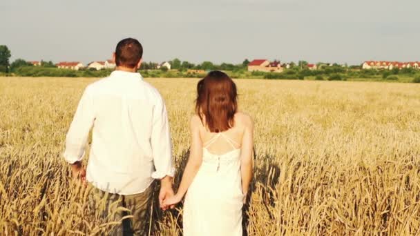 Couple in love walking in wheat field — Stock Video