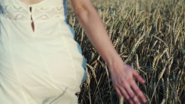 Frau läuft durch Weizenfeld — Stockvideo