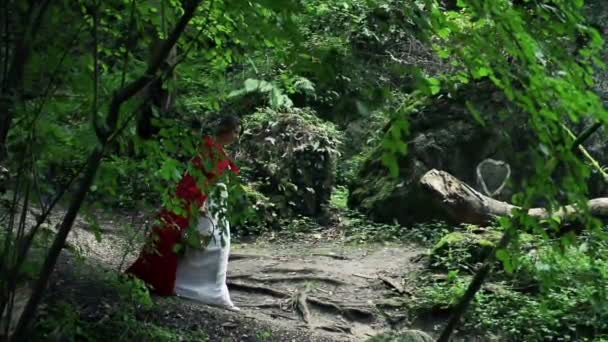 Hermosa misteriosa capucha roja caminando en el bosque — Vídeos de Stock