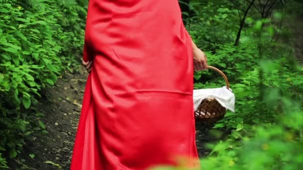 Kırmızı başlıklı kız ormanda yürüyüş sepeti ile — Stok video
