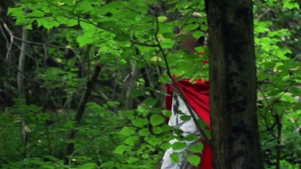 Vackra mystiska red riding hood promenader i skogen — Stockvideo