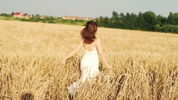 Молода жінка біжить на пшеничному полі — стокове відео