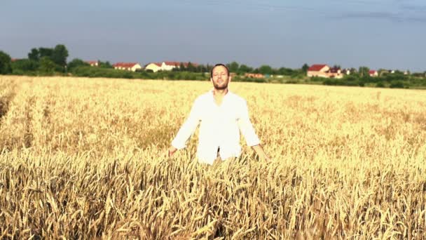 Молодий чоловік проходить через пшеничне поле — стокове відео